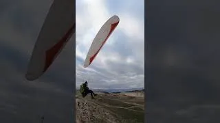 Miniature : cobra take off whith puma