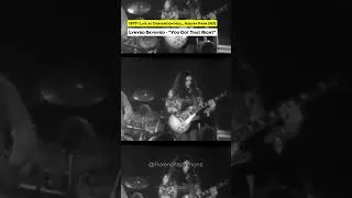 Miniature : Gary Rossington's guitar solos on "You Got That Right" (1977)