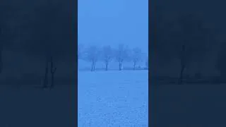 Miniature : #snowstorm @snow