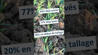 Miniature : Les semis de blé se terminent !