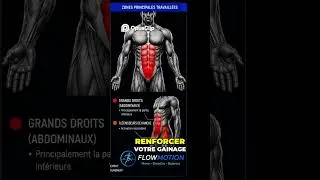 Miniature : Sculptez vos abdos : Séance Flowmotion pour un corps puissant ! #abdos #fitness