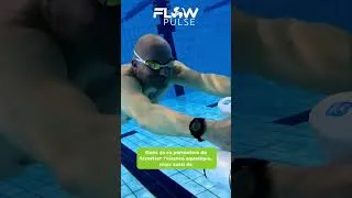 Miniature : C'est quoi Flowpulse ?