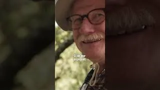 Miniature : Forêt - se parler, se comprendre et agir ensemble