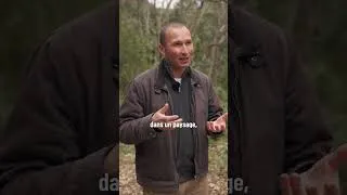 Miniature : Forêt - La laisser en libre évolution