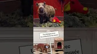 Miniature : "Annette Messager - Une hirondelle ne fait pas le printemps" au musée de la chasse et de la nature