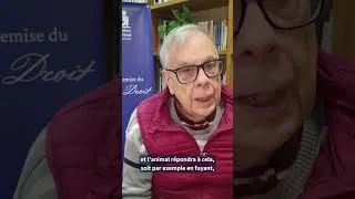 Miniature : Qu'est ce que la sentience ? avec Georges Chapouthier