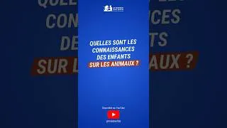 Miniature : Que savent les enfants des animaux ?