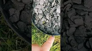 Miniature : Bordure de jardin flexible 10 m   installation facile et très bonne résistance