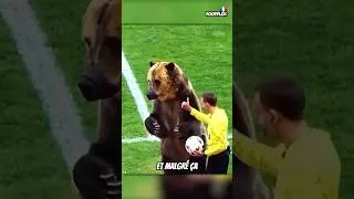 Miniature : Les ANIMAUX dans le FOOTBALL 🐶😍⚽
