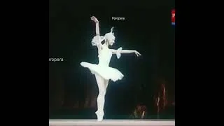 Miniature : Ludmila Semenyaka - Bluebird, Sleeping Beauty.