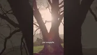 Miniature : 🌿 Pourquoi est la "Nature" en Ville si important ? Réponse de notre collaborateur Michele Falco 🌱