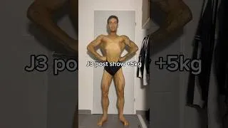 Miniature : 5kg 3 days post show back to work