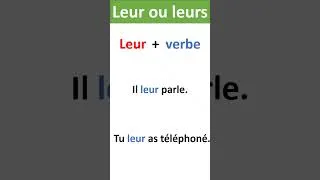 Miniature : Leur ou Leurs ? La règle enfin claire !
