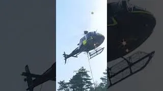 Miniature : Incendies en Corse - Les feux de la Restonica et du Niolu toujours actifs