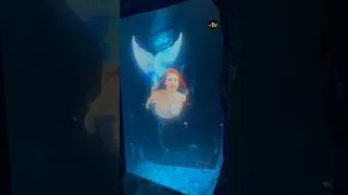Miniature : Découvrez la nouvelle salle immersive de l'aquarium de Canet-en-Roussillon !