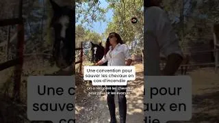 Miniature : Une convention pour sauver les chevaux en cas d'incendie