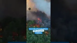 Miniature : Incendie à Fontainebleau : 500 pompiers mobilisés 🔥