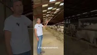 Miniature : 🐄 Zoom sur la ration des bovins de notre ferme pilote 🌾