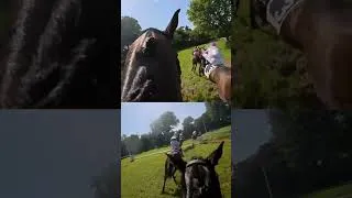 Miniature : Deux GoPro, deux jockeys, un seul terrain de jeu : le Grand Cross de Rostrenen TNC#5