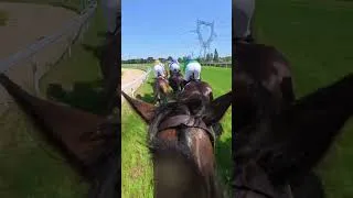 Miniature : Cassi Bréchon en selle sur Lady Angelina à Nort sur Erdre