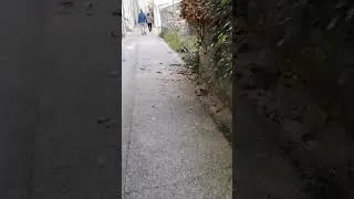 Miniature : La région lyonnaise secouée par un tremblement de terre