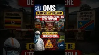 Miniature : L’OMS demande un réexamen de la fermeture frontalière #Shorts #info #news #géopolitique
