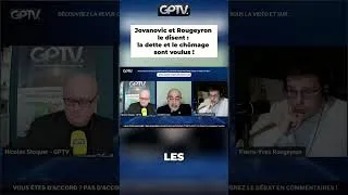 Miniature : Jovanovic et Rougeyron le disent : la dette et le chômage sont voulus !