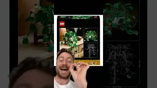 Miniature : Nouveau Lego set dévoilé le Golden Pothos de Botanicals
