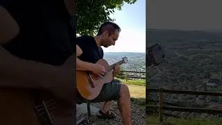 Miniature : 1979 - The Smashing Pumpkins - Acoustic Guitar