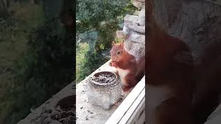 Miniature : bonne journée 🥰 🥰