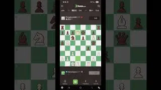Miniature : best final moves I ever made.