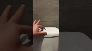 Miniature : Toilet ASMR (RAW Edit)