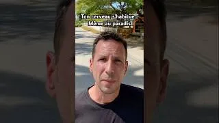 Miniature : Même en Thaïlande… tu finis par ne plus rien ressentir