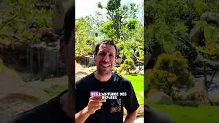 Miniature : J’en peux plus de cette vie en Thaïlande…