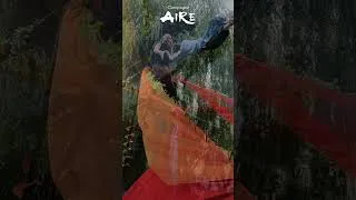 Miniature : Acrobatie aérienne et Qi Gong sur le Stabat Mater de Dvořák (1, 2 et 3 aout)