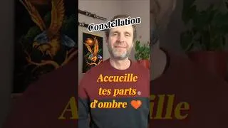 Miniature : Constellation familiale, accueillir une part d'ombre ! #constellationsfamiliales  #formation