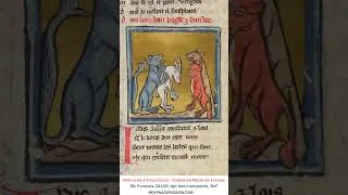 Miniature : Une enluminure à la feuille d'or de plus de 800 ans redécouverte !