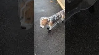 Miniature : Rain coat & socks !