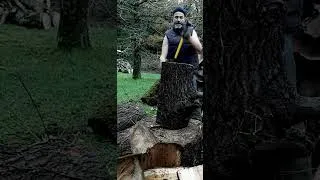 Miniature : Fredy splitting oak #6