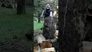 Miniature : Fredy splitting oak #5