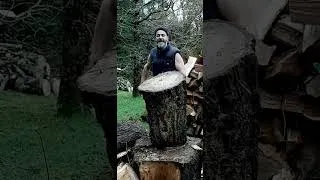 Miniature : Fredy splitting oak #4