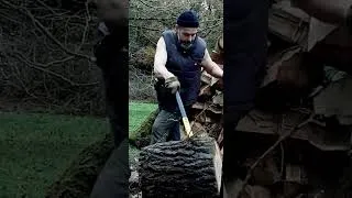Miniature : Fredy splitting oak #3