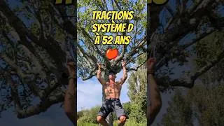 Miniature : Tractions système D à 52 ans 🍎