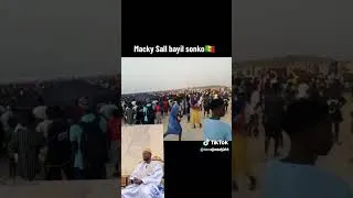 Miniature : macky laisse sonko
