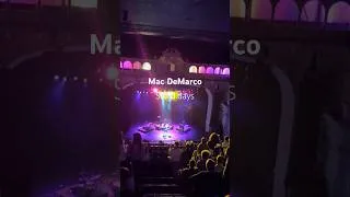Miniature : Mac DeMarco, Salad Days. Live at O2 Academy Brixton