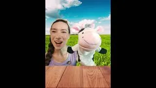 Miniature : Learn about animals in French - Educational Videos in French - French With Audy
