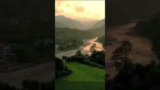Miniature : Rice fields during sunset in gorgeous Nepal! #shorts