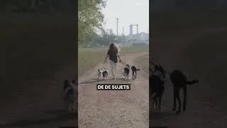 Miniature : Comment vendre TA connaissance et garder 100% du CA