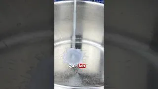 Miniature : Quel est le meilleur lait pour réussir son fromage maison?
