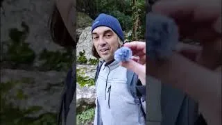 Miniature : La Fontaine de Vaucluse, rivière surgie de nul part !